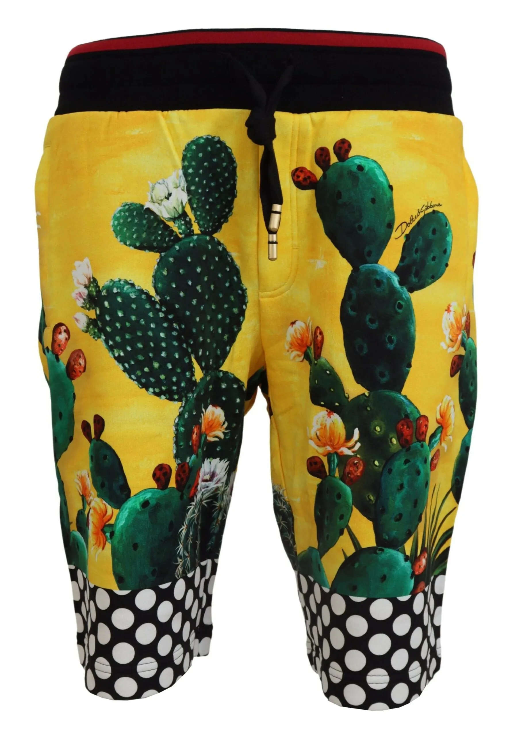 Dolce & Gabbana Men's Multicolor Cactus Print Sweat Shorts