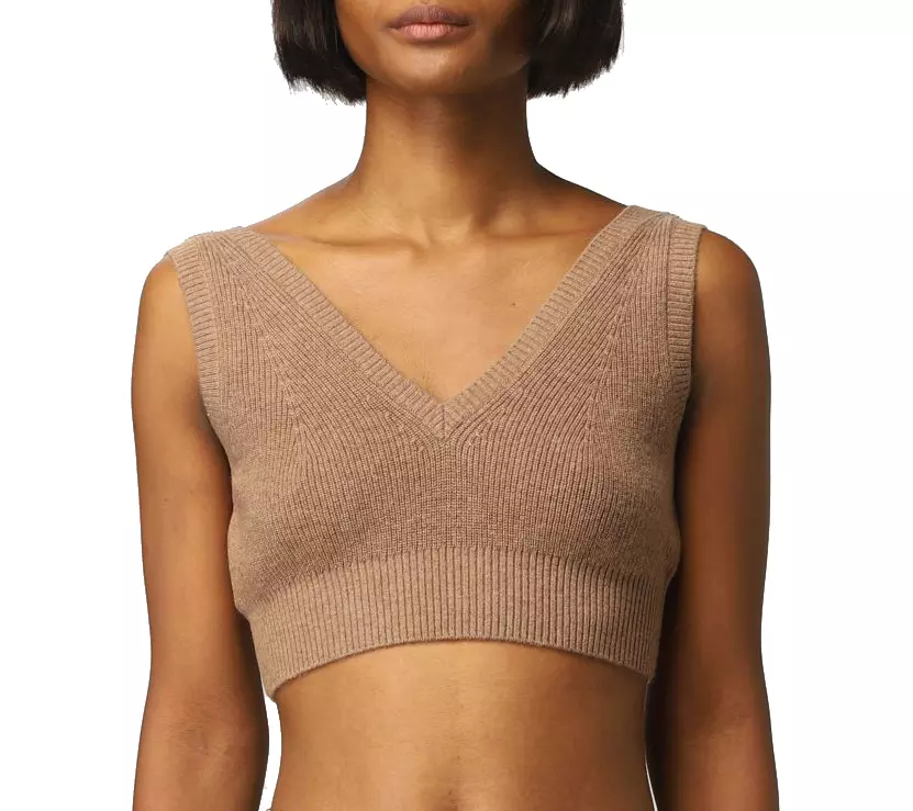 PINKO Women's V-Neck Ribbed Wool Blend Top in Brown