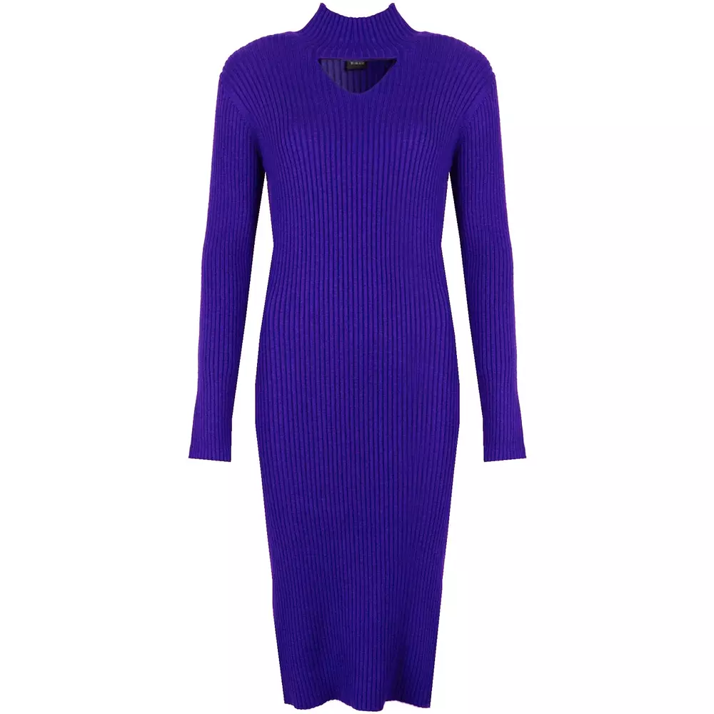 PINKO Women's Lavish Ribbed Longline Dress with High Neck