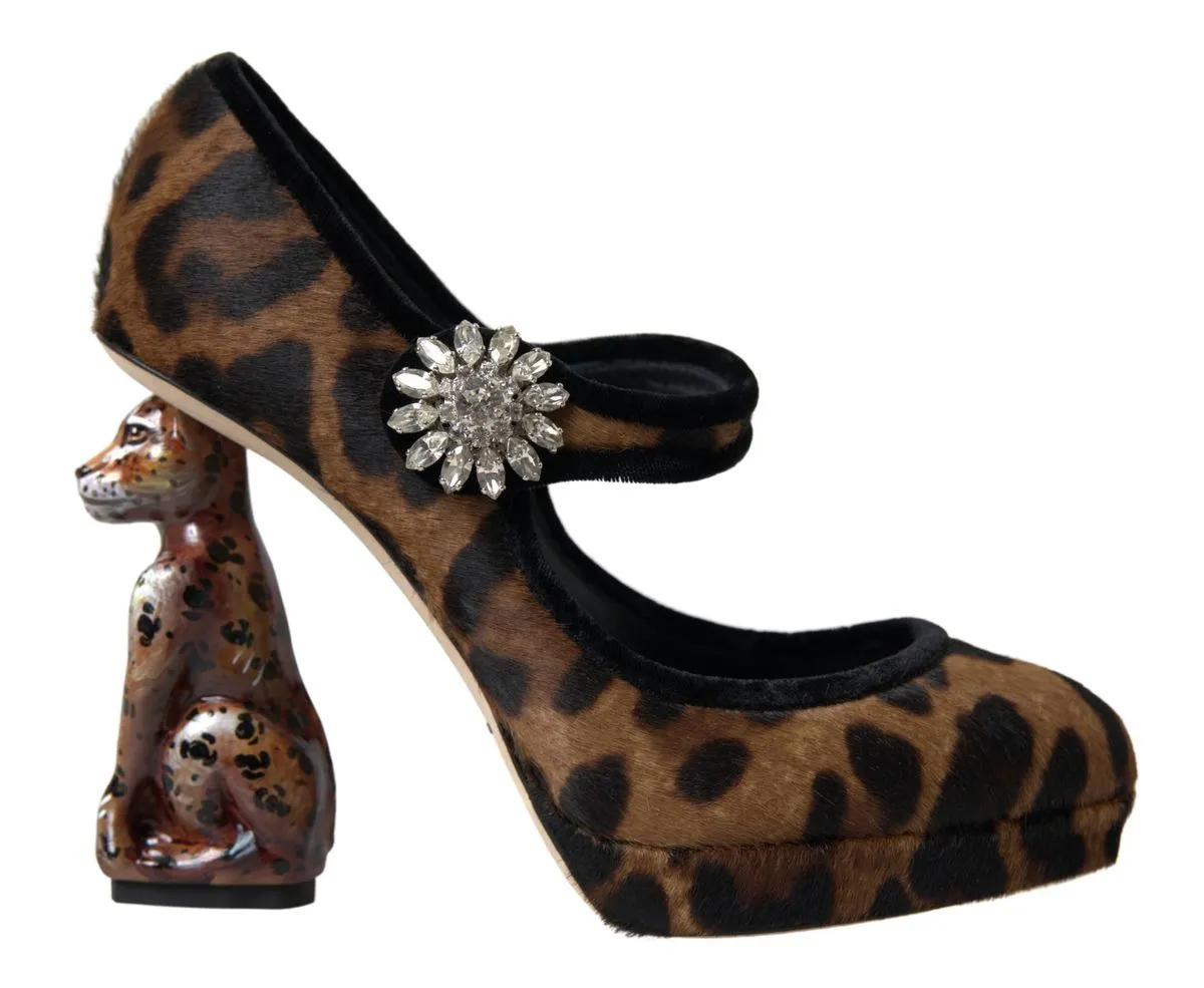 Dolce & Gabbana Women's Elegant Leopard Heel Pumps for Chic Sophistication