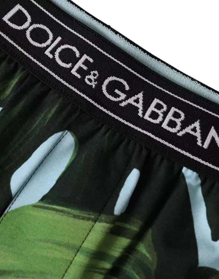 Dolce & Gabbana Men's Multicolor Leaf Print Regular Boxer Underwear