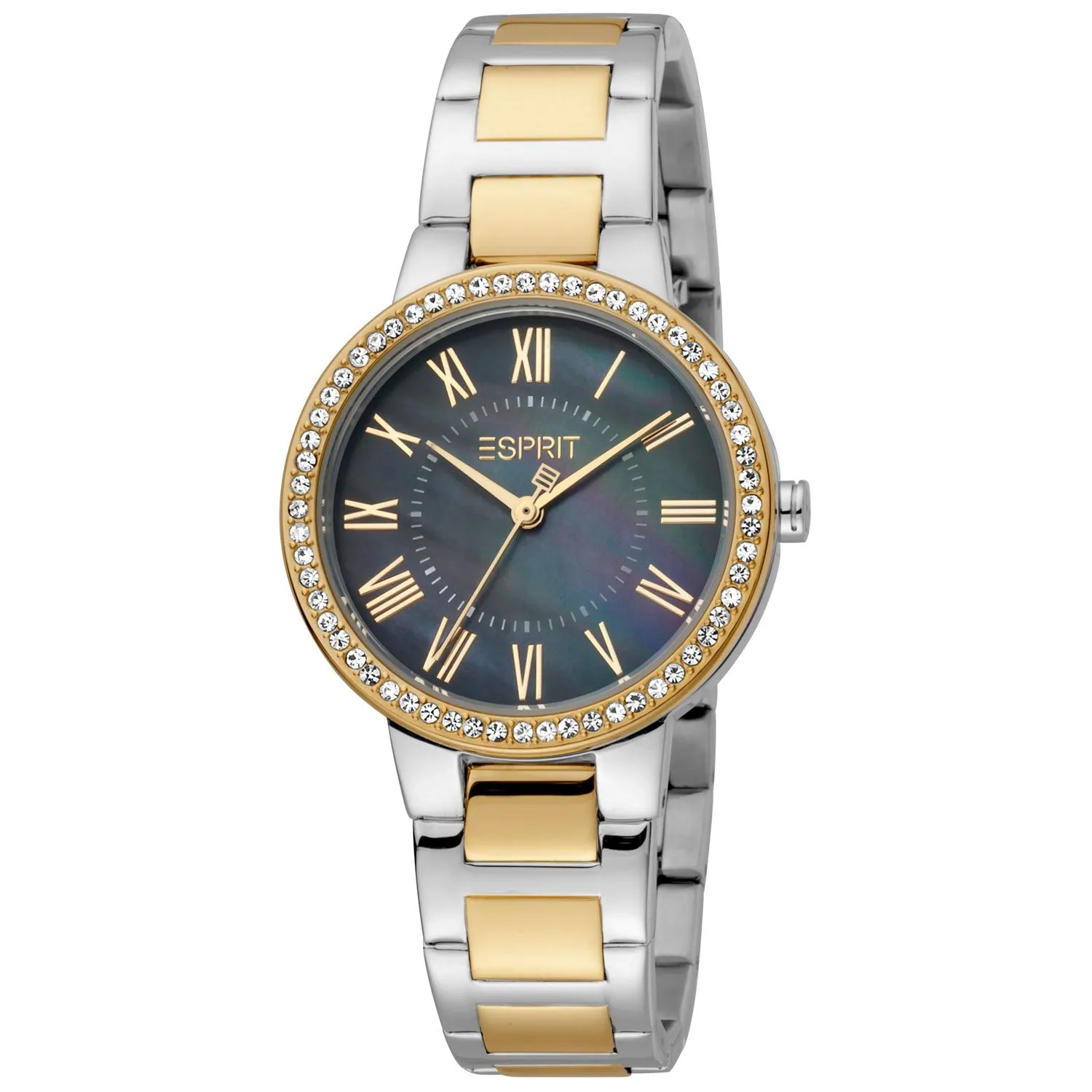 Esprit Bicolor Women Watches