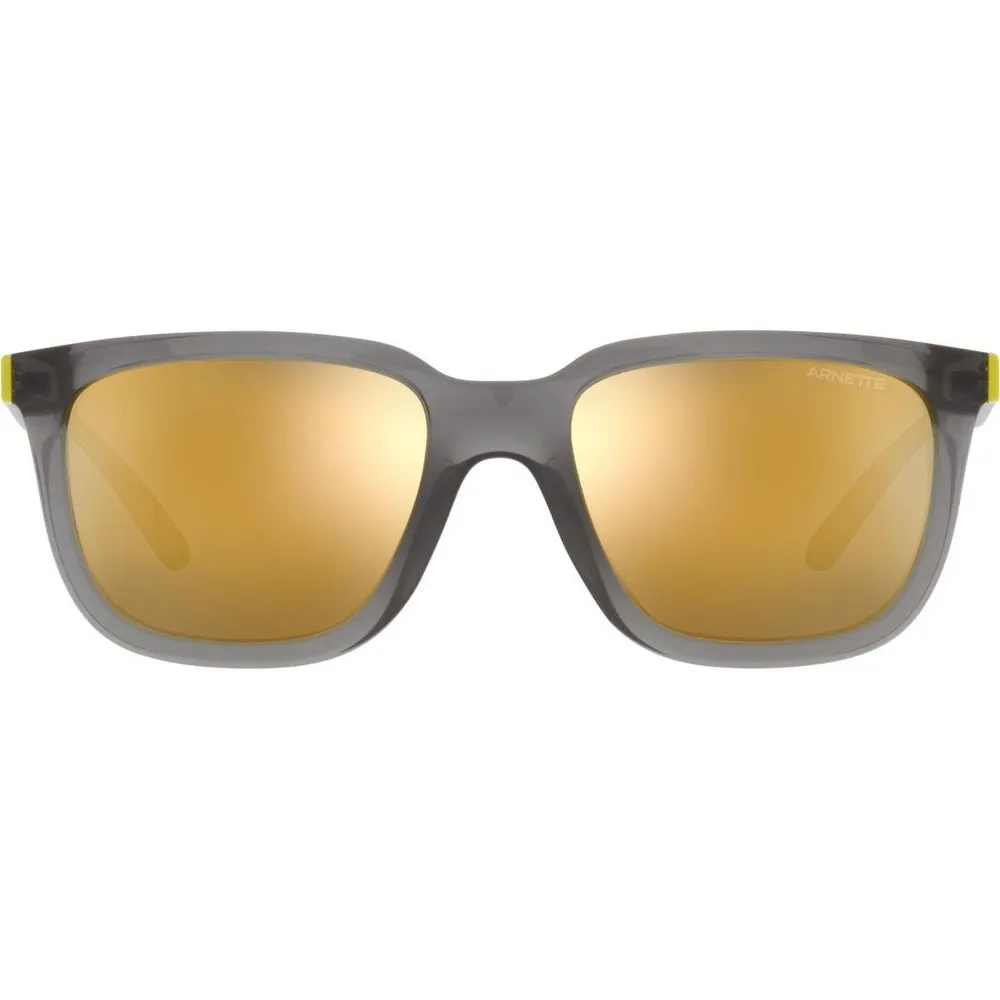 Arnette Men's Gray Acetate Sunglasses