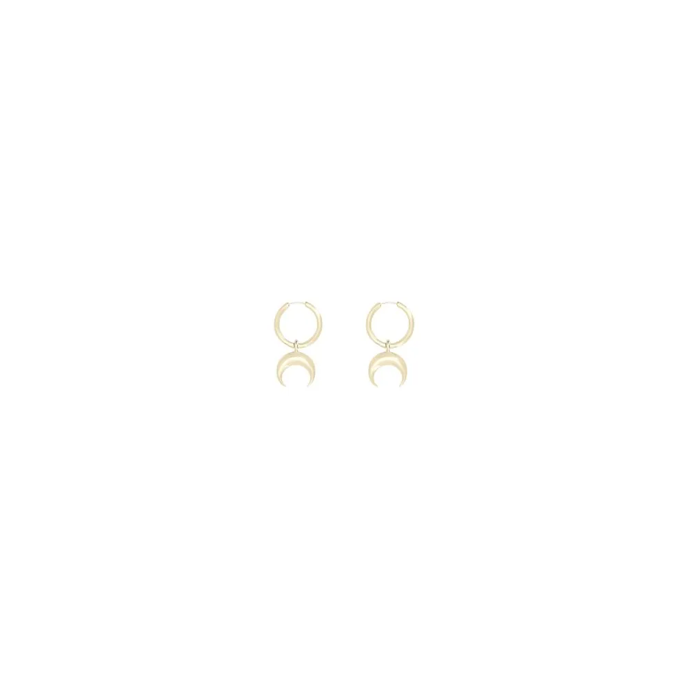 Pendant Earrings